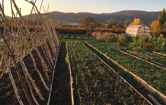 Garten der Begegnung Traiskirchen