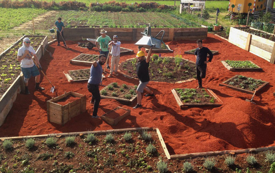 Kräutergarten in Traiskirchen/mit Menschen mit Fluchthintergrund